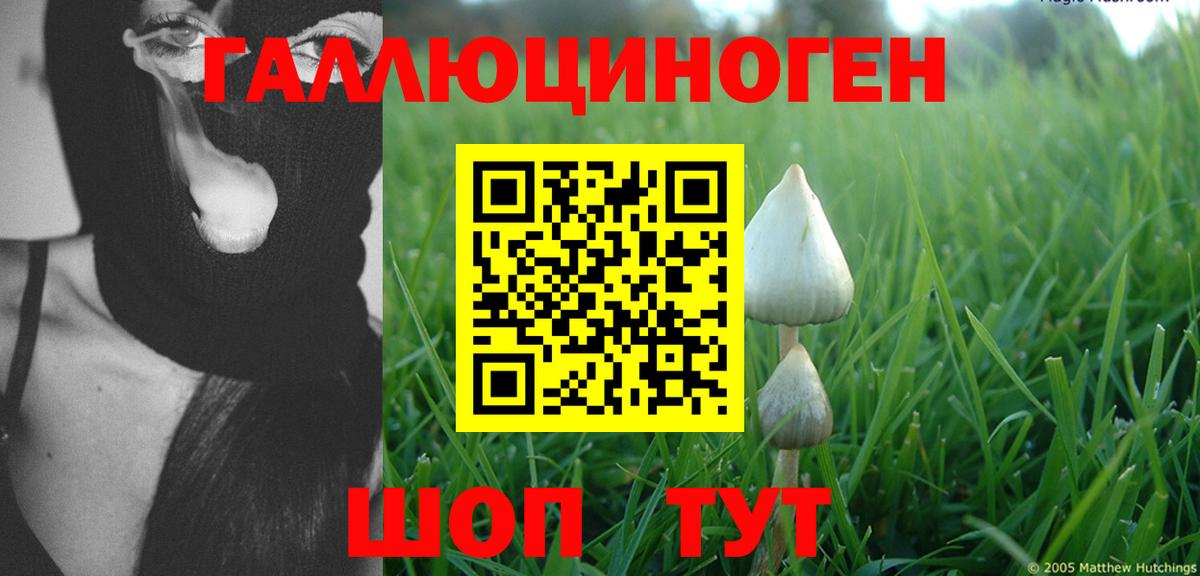 Дятьково  Галлюциногенные грибы прущие грибы  Вход с VPN  Псилоцибиновые грибы Psilocybe 